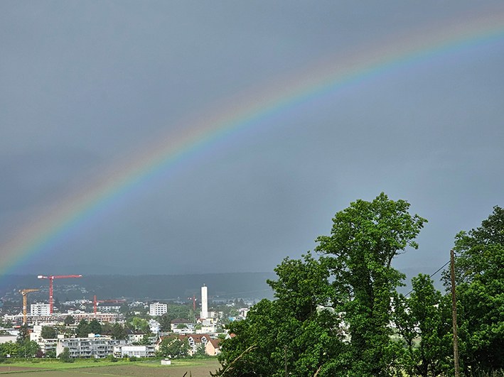 Regenbogen_web.jpg