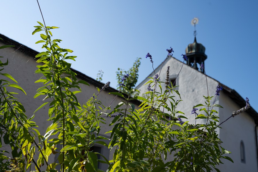 Kloster Fahr St. Anna Kapelle.JPG