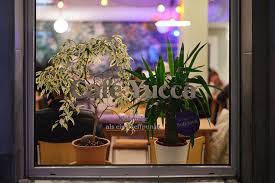 café yucca.jpg